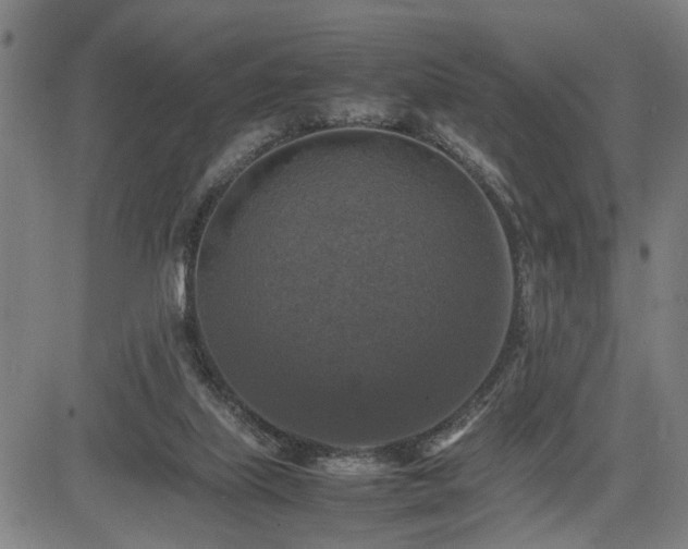 X0000085270067200703091403