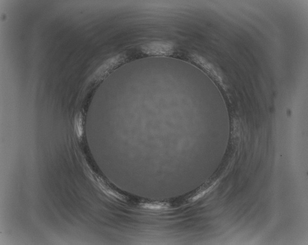 X0000085270069200703091403