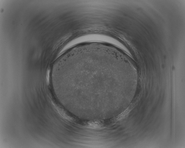 X0000085270070200703091403