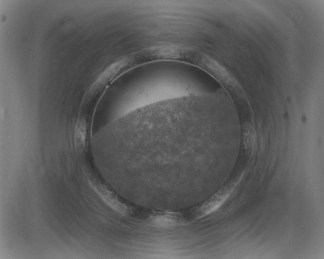 X0000085270072200703091403