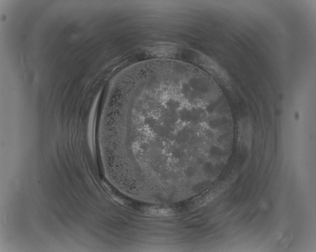 X0000085270073200703091403