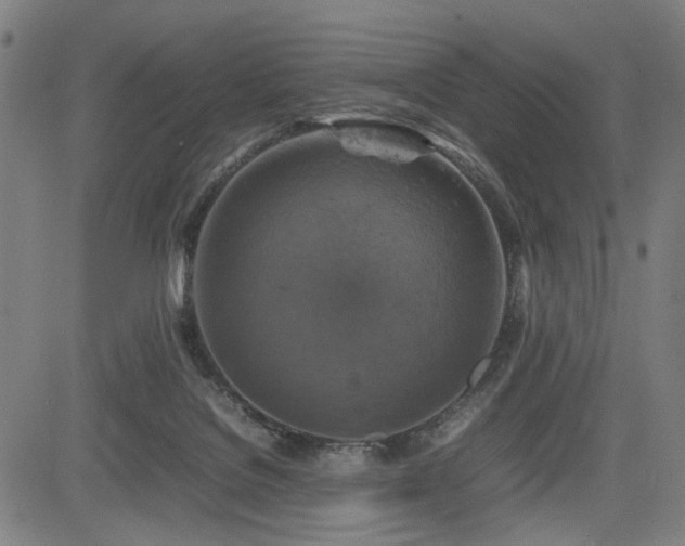 X0000085270076200703091403