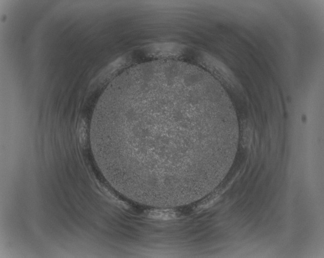 X0000085270077200703091403