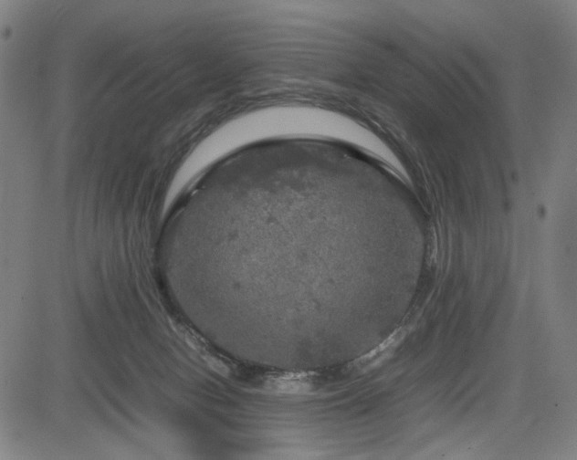 X0000085270078200703091403