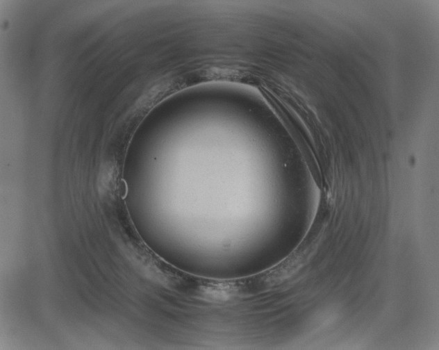 X0000085270079200703091403