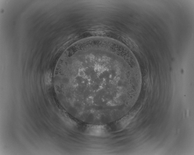 X0000085270081200703091403