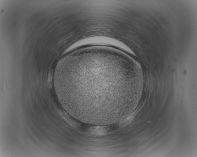 X0000085270082200703091403