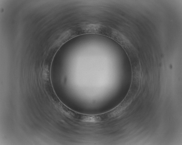 X0000085270083200703091403