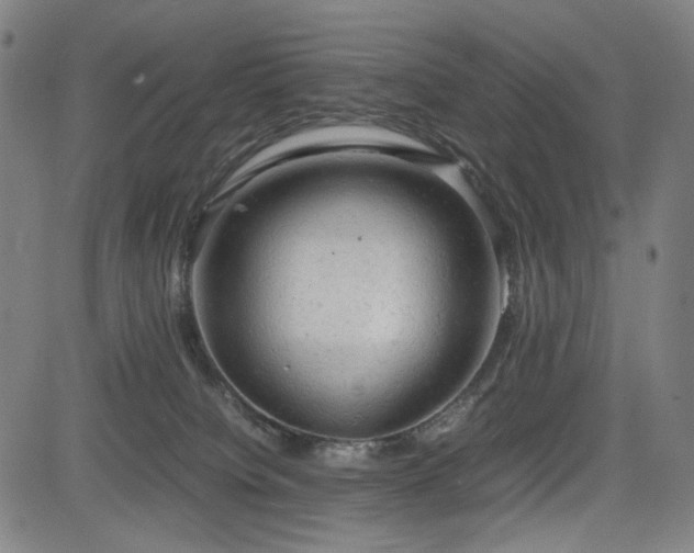 X0000085270084200703091403