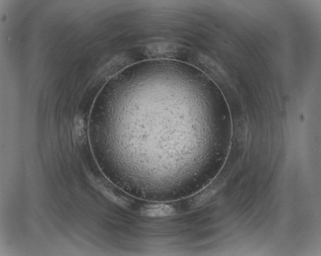 X0000085270087200703091403