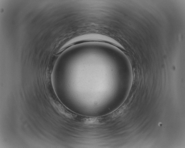 X0000085270088200703091403