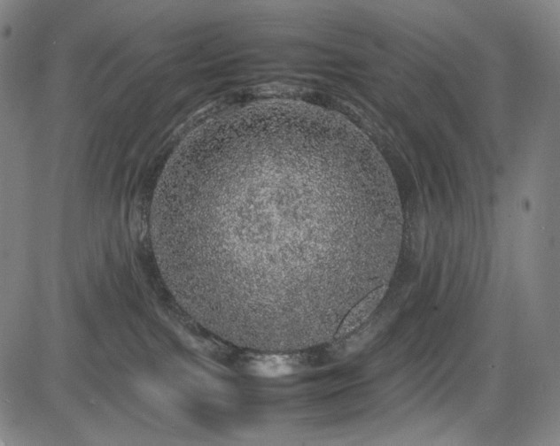 X0000085270091200703091403