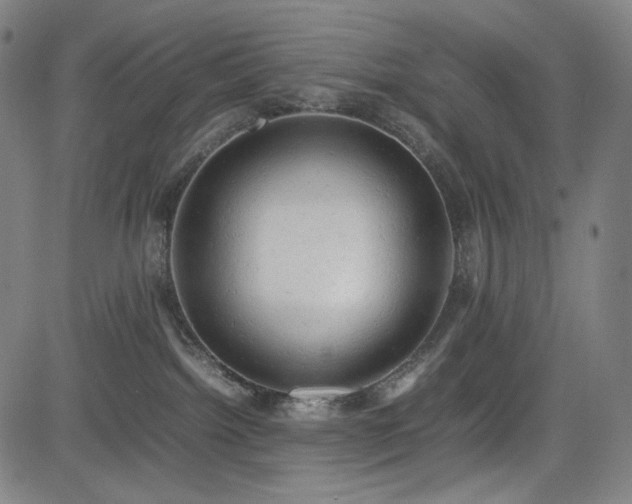 X0000085270092200703091403