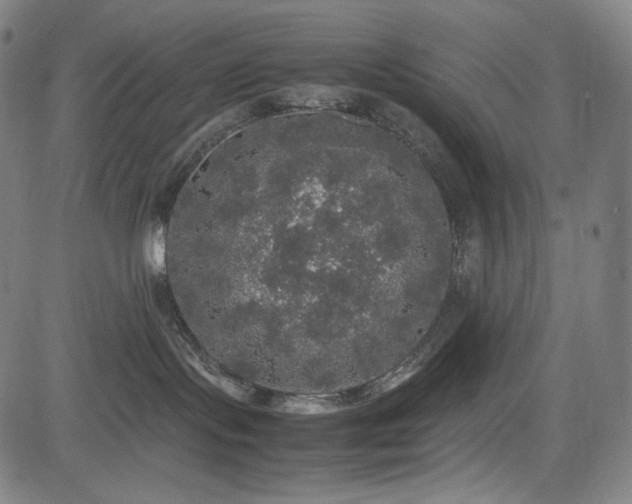 X0000085270095200703091403