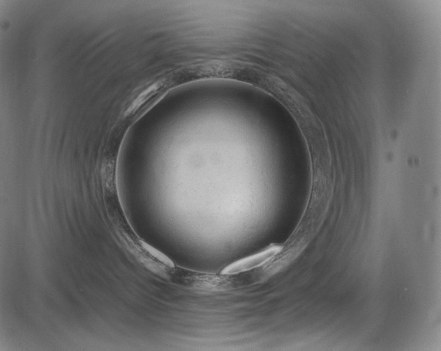 X0000085270096200703091403