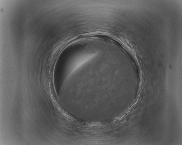 X0000085270097200703091402