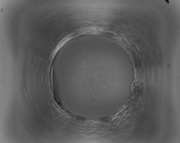 X0000085270099200703091402