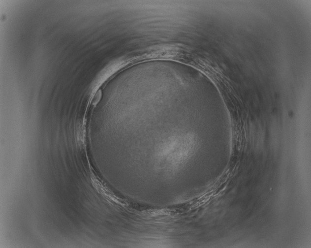 X0000085270100200703091402