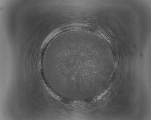 X0000085270101200703091402