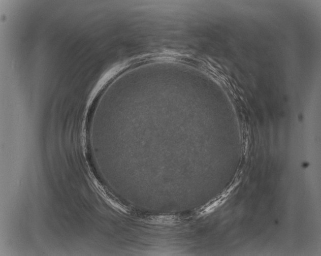 X0000085270102200703091402