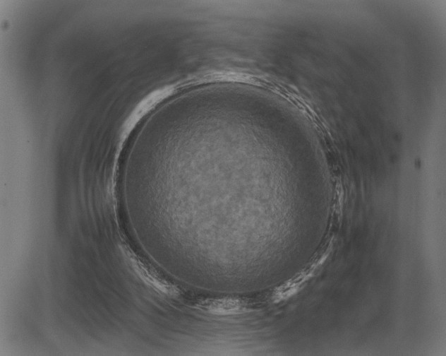 X0000085270104200703091402