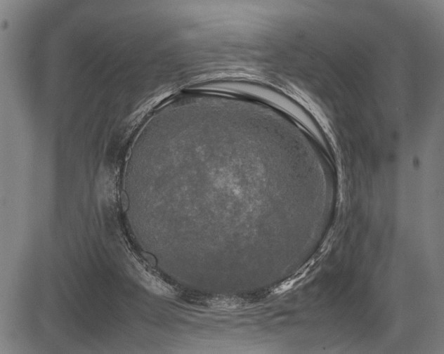 X0000085270105200703091402