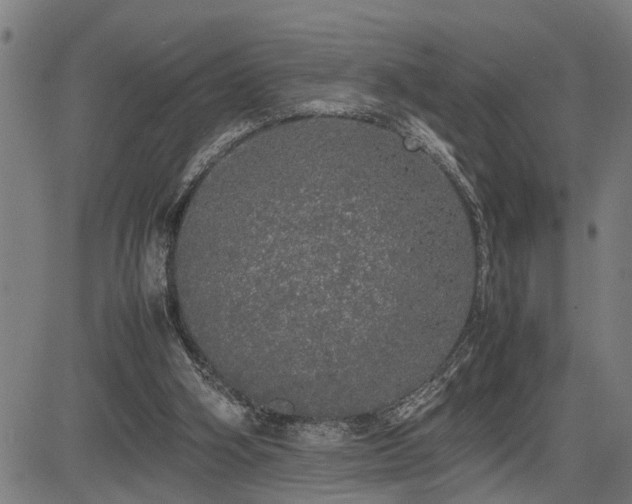 X0000085270106200703091402