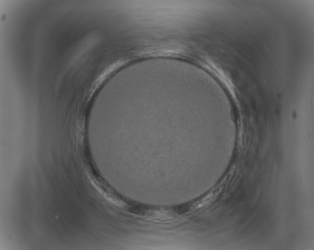 X0000085270107200703091402