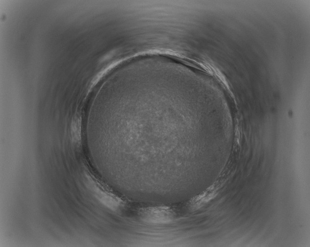 X0000085270108200703091402