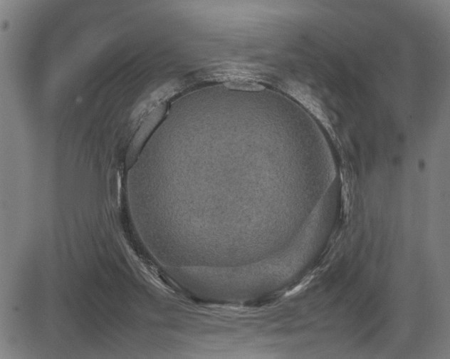 X0000085270109200703091402