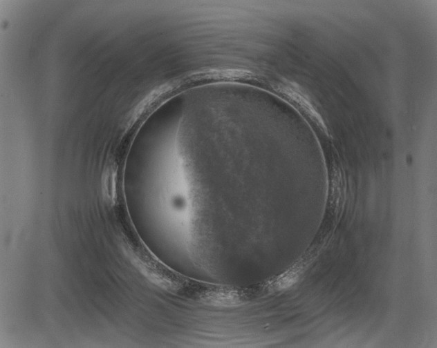 X0000085270110200703091402