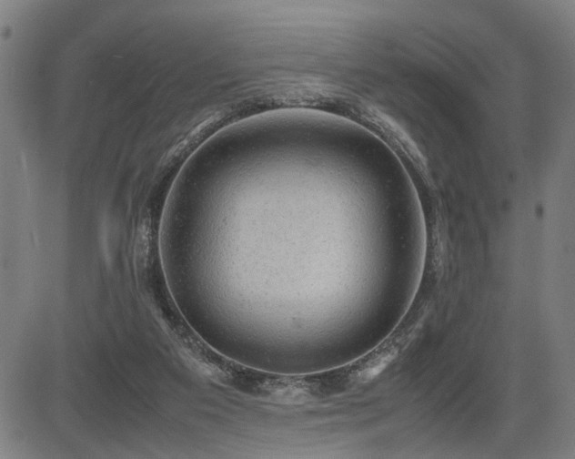 X0000085270113200703091402