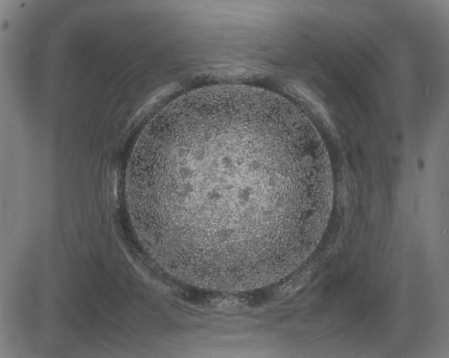 X0000085270115200703091402