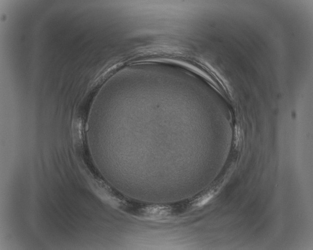 X0000085270117200703091402