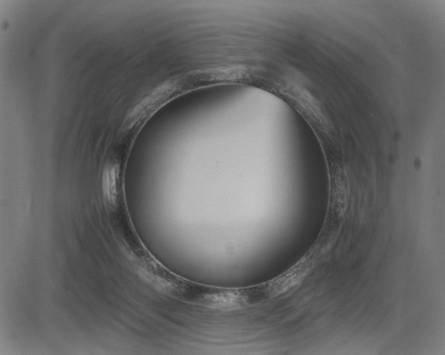 X0000085270118200703091402