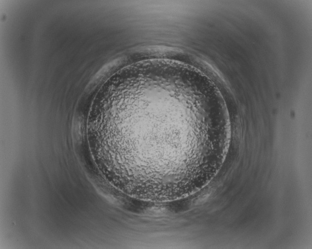 X0000085270119200703091402