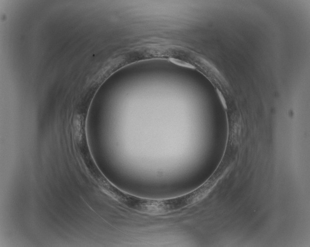 X0000085270121200703091402