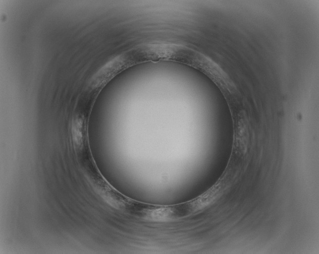 X0000085270122200703091402