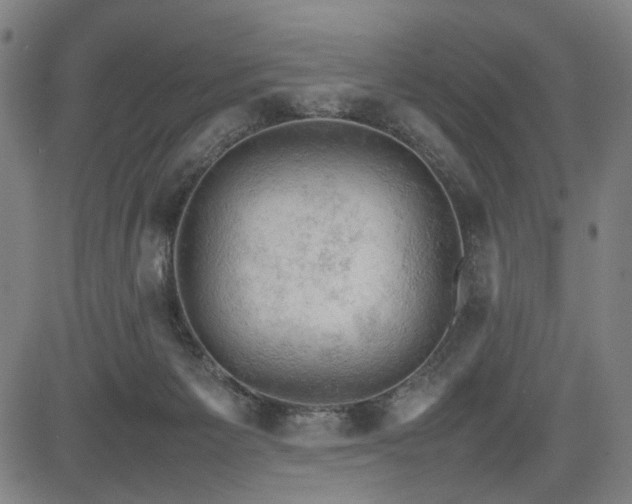 X0000085270125200703091402