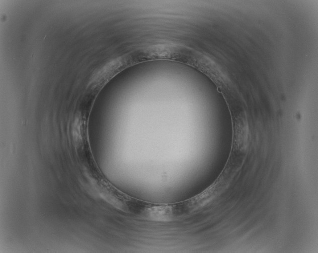 X0000085270126200703091402