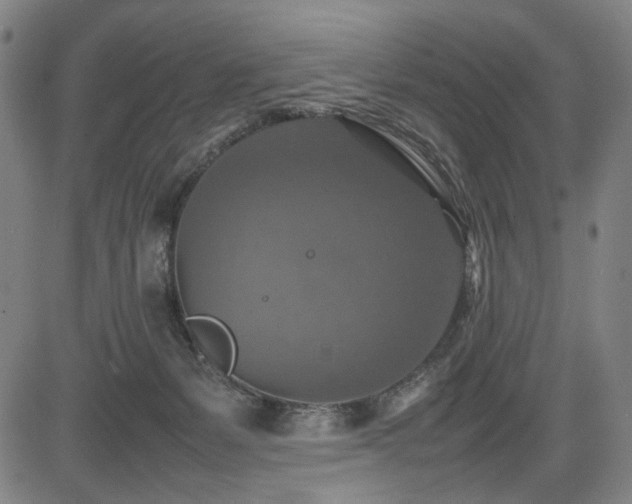 X0000085270127200703091402