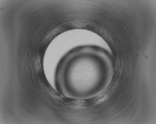 X0000085270128200703091402