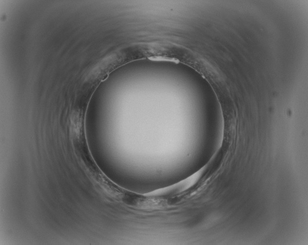 X0000085270129200703091402