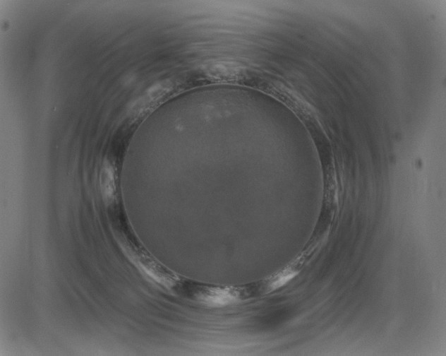 X0000085270130200703091402