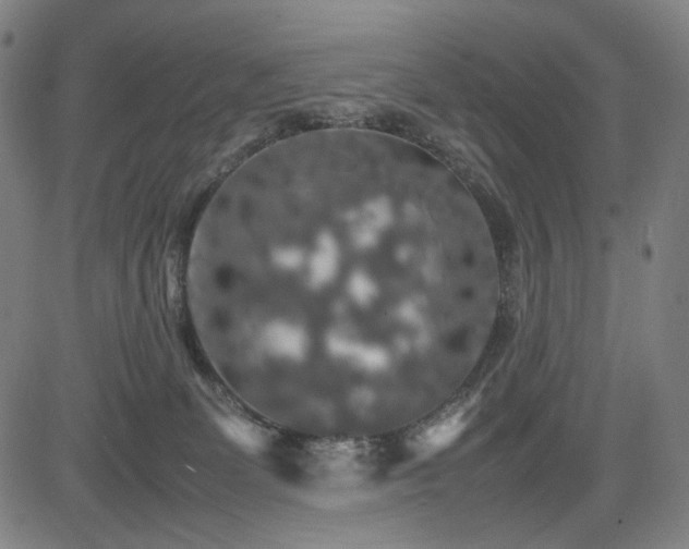 X0000085270131200703091402