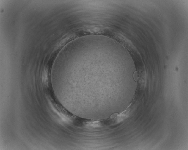 X0000085270132200703091402