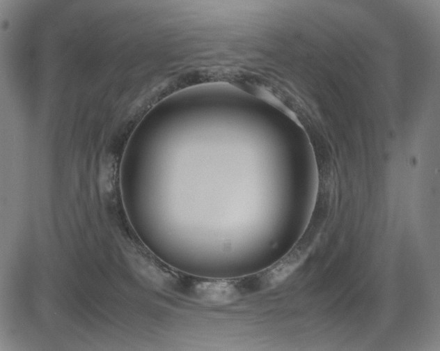 X0000085270133200703091402