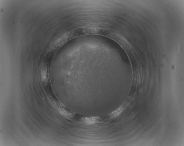 X0000085270134200703091402