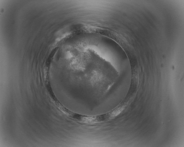 X0000085270139200703091401