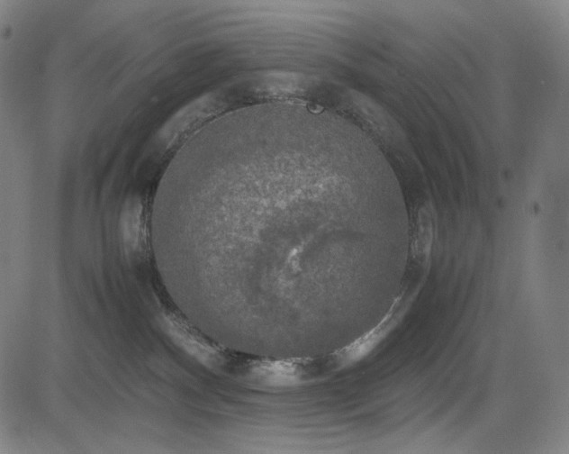 X0000085270140200703091401